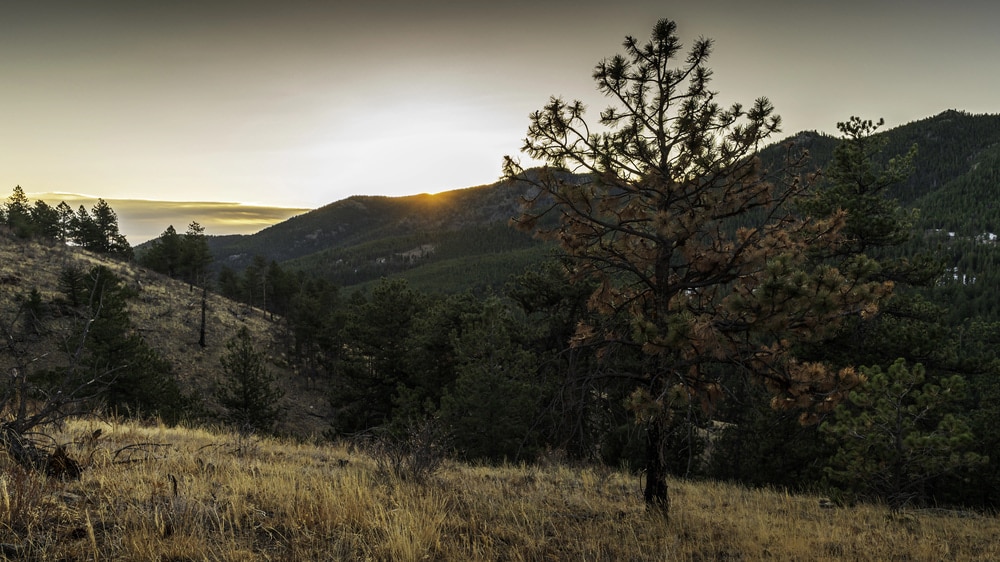 Golden Gate Canyon State Park denver trip